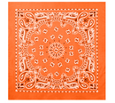 Rothco Trainmen Paisley Bandana - 22" X 22"