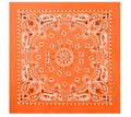 Rothco Trainmen Paisley Bandana - 22" X 22"