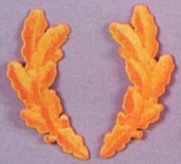 1599 Rothco "Scrambled Eggs" Officers Patch
