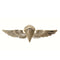 1652 Rothco USN-USMC Parawing Pin