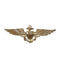 1654 Rothco Naval Aviator Insignia