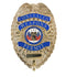 1946 ROTHCO DELUXE BADGE-CONCEALED WEAPONS PERMIT/ GOLD