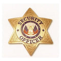 HWC 6 Point Security Officer with Full Color Justice Seal Pin Back /Breast Badge - Gold