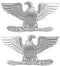 Collar Rank - Insignia Colonel ( Eagle ) Small 3/4 Inch Nickel Plated
