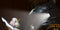 Guardian Angel Personal Safety Magnetic Light Bar, White/White